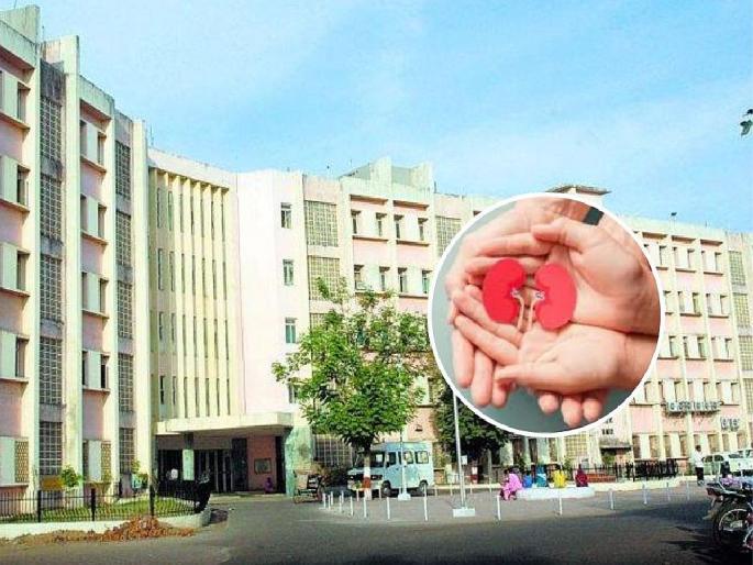 Cousin saved sister's life by donating kidney; 'Live transplant' after three years in superspecialty | चुलत बहिणीने किडनी देऊन वाचविले बहिणीचे प्राण; सुपरस्पेशालिटीत तीन वर्षांनंतर ‘लाइव्ह ट्रान्सप्लांट’