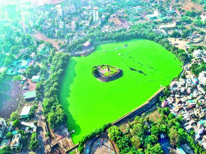 Wastewater accumulation in Katraj lake and ignorance of municipal corporation | कात्रज तलावात साठतेय सांडपाणी, महापालिकेचे दुर्लक्ष Wastewater accumulation in Katraj lake and ignorance of municipal corporation | कात्रज तलावात साठतेय सांडपाणी, महापालिकेचे दुर्लक्ष