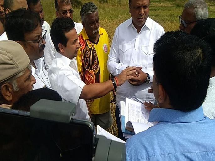 salgaon farmers have demand for compensation in kudal | सरसकट नुकसान भरपाई मिळावी, साळगावातील शेतकऱ्यांची आशिष शेलारांकडे मागणी salgaon farmers have demand for compensation in kudal | सरसकट नुकसान भरपाई मिळावी, साळगावातील शेतकऱ्यांची आशिष शेलारांकडे मागणी