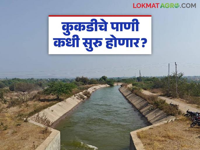The irrigation schedule of Kukdi for Rabi season crops will begin between December 20th and 25th | रब्बी हंगामातील पिकांसाठी कुकडीचे आवर्तन २० ते २५ डिसेंबर दरम्यान सुरु होणार The irrigation schedule of Kukdi for Rabi season crops will begin between December 20th and 25th | रब्बी हंगामातील पिकांसाठी कुकडीचे आवर्तन २० ते २५ डिसेंबर दरम्यान सुरु होणार