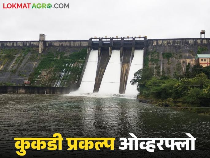 These five dams of the 'Kukdi' project are 100 percent full; Discharge continues, alert issued | 'कुकडी' प्रकल्पातील 'ही' पाच धरणे १०० टक्के भरली; विसर्ग सुरू सतर्कतेचा इशारा