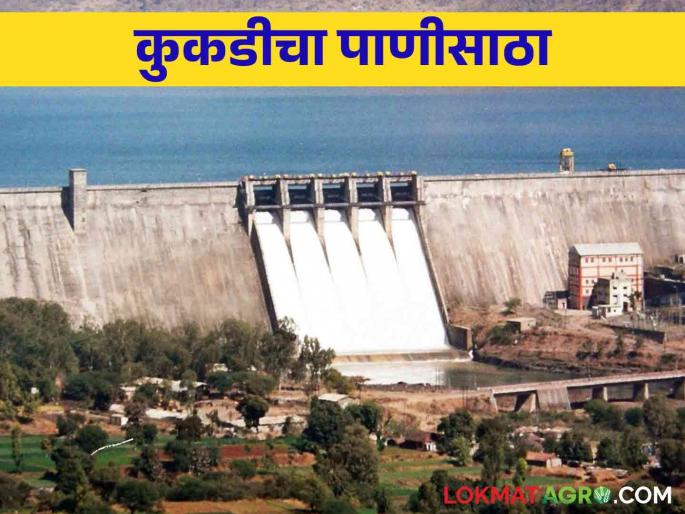 Kukadi Project Water: 64.82 percent water storage in Kukadi Project due to heavy rains | Kukadi Project Water: मुसळधार पावसामुळे कुकडी प्रकल्पात ६४.८२ टक्के पाणीसाठा