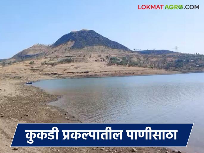 Water storage in dams of Kukadi project has decreased; How much water is in which dam? | कुकडी प्रकल्पातील धरणांचा पाणीसाठा घटला; कोणत्या धरणात किती पाणी?