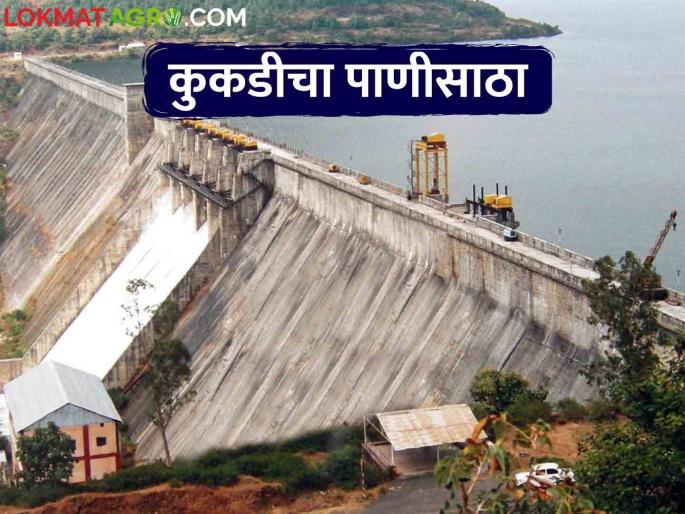 Water storage increased in Kukdi project dams, how much water in which dam? | कुकडी प्रकल्पातील धरणांमध्ये पाणीसाठा वाढला? कोणत्या धरणात किती पाणी? Water storage increased in Kukdi project dams, how much water in which dam? | कुकडी प्रकल्पातील धरणांमध्ये पाणीसाठा वाढला? कोणत्या धरणात किती पाणी?