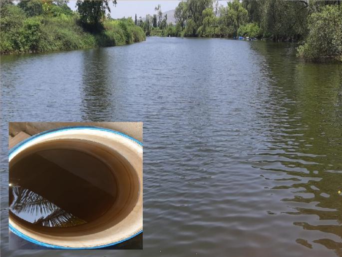 The water of Kumbhi river is blackened, endangering the health of eleven villages | कुंभी नदीच्या पाण्याला काळसर रंग, नदीकाठच्या अकरा गावांचे आरोग्य धोक्यात The water of Kumbhi river is blackened, endangering the health of eleven villages | कुंभी नदीच्या पाण्याला काळसर रंग, नदीकाठच्या अकरा गावांचे आरोग्य धोक्यात