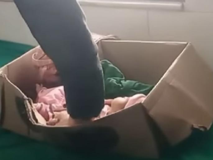 Female newborn found in Kuchi Sangli | Sangli: कुची येथे निर्जनस्थळी स्त्री जातीचे नवजात अर्भक सापडले Female newborn found in Kuchi Sangli | Sangli: कुची येथे निर्जनस्थळी स्त्री जातीचे नवजात अर्भक सापडले