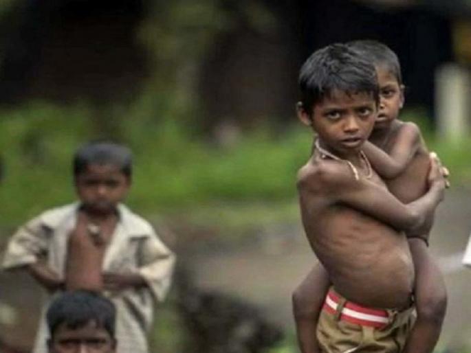 Home in village but mind in the forest .. | पोट पाणी अन् पुनर्वसन : घर गावात मन जंगलात..! Home in village but mind in the forest .. | पोट पाणी अन् पुनर्वसन : घर गावात मन जंगलात..!