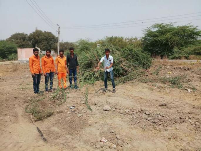 Making chapel breaks a paradise in the crematorium | मिरवणुकीला फाटा देत स्मशानभूमीला स्वर्ग बनवले Making chapel breaks a paradise in the crematorium | मिरवणुकीला फाटा देत स्मशानभूमीला स्वर्ग बनवले