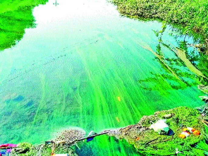 Prepare 'Plan' to Prevent Pollution! Prepares to Complete Forestry by Completing Chemical wastewater | प्रदूषण रोखण्याचा ‘आराखडा’ तयार!, रासायनिक सांडपाणी पूर्ण प्रक्रिया करून वनविभागाला देण्याची तयारी पूर्णत्वाकडे Prepare 'Plan' to Prevent Pollution! Prepares to Complete Forestry by Completing Chemical wastewater | प्रदूषण रोखण्याचा ‘आराखडा’ तयार!, रासायनिक सांडपाणी पूर्ण प्रक्रिया करून वनविभागाला देण्याची तयारी पूर्णत्वाकडे