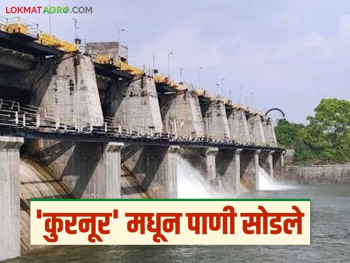 Kurnur Dam : Three gates of Kurnur Dam opened; 250 cusecs of water released | Kurnur Dam : कुरनूर धरणाचे तीन दरवाजे उघडले; २५० क्युसेकने पाण्याचा विसर्ग सुरु Kurnur Dam : Three gates of Kurnur Dam opened; 250 cusecs of water released | Kurnur Dam : कुरनूर धरणाचे तीन दरवाजे उघडले; २५० क्युसेकने पाण्याचा विसर्ग सुरु