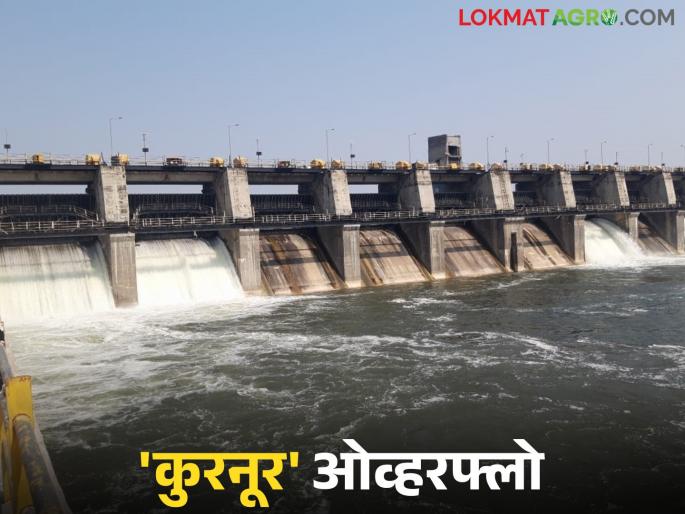Kurnur Dam : Kurnur Dam in Solapur district overflows; Five gates opened | Kurnur Dam : सोलापूर जिल्ह्यातील कुरनूर धरण ओव्हरफ्लो; पाच दरवाजे उघडले