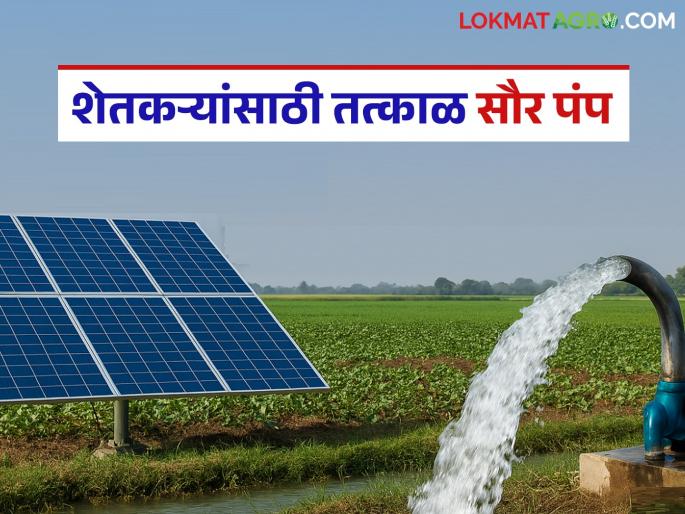Tender process under Kusum 'B' scheme complete; 35 thousand solar agricultural pumps to be installed next month | कुसुम ‘बी’ योजनेअंतर्गतची निविदा प्रक्रिया पूर्ण; पुढील महिन्यात ३५ हजार सौर कृषी पंप बसवणार