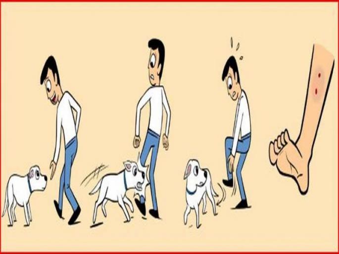 Rabies symptoms causes treatment and prevention first aid after dog bite | कुत्रा चावल्यावर लगेच करा ही 3 कामे, उपचार न घेतल्यास असं पडू शकतं महागात! Rabies symptoms causes treatment and prevention first aid after dog bite | कुत्रा चावल्यावर लगेच करा ही 3 कामे, उपचार न घेतल्यास असं पडू शकतं महागात!