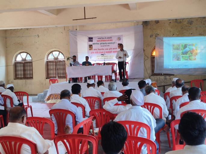 A workshop on mango blossom protection and fruit fly control was held at Parunde village | आंबा मोहोर संरक्षण व फळमाशी नियंत्रण बद्दल कार्यशाळा पारुंडे गावात संपन्न A workshop on mango blossom protection and fruit fly control was held at Parunde village | आंबा मोहोर संरक्षण व फळमाशी नियंत्रण बद्दल कार्यशाळा पारुंडे गावात संपन्न