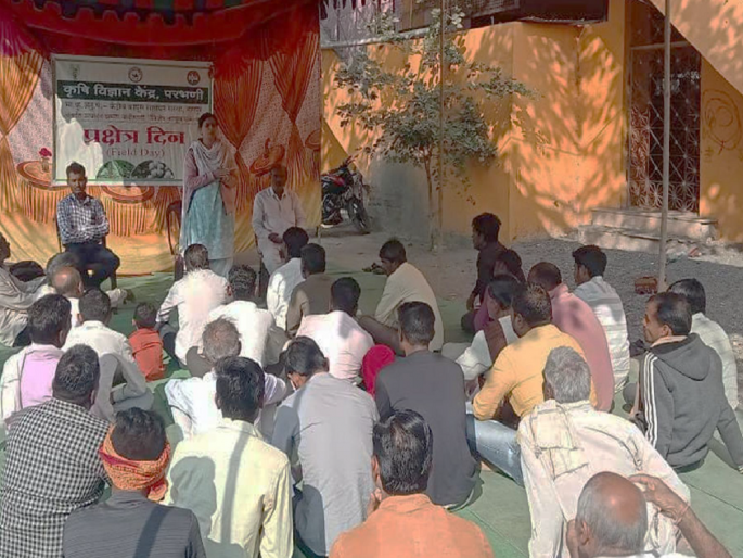 Field Day is celebrated on cotton cultivation under Special Cotton Project | विशेष कापूस प्रकल्प अंतर्गत कापूस लागवड विषयी प्रक्षेत्र दिन साजरा