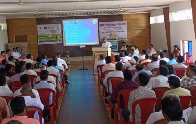 Latest News Training program on banana-best agricultural practices completed at Tondapur krushi vidnyan kendra | Agriculture News : केळी पीक एकात्मिक व्यवस्थापन ते प्रक्रिया उद्योग, तोंडापूर केव्हीकेत प्रशिक्षण कार्यक्रम 