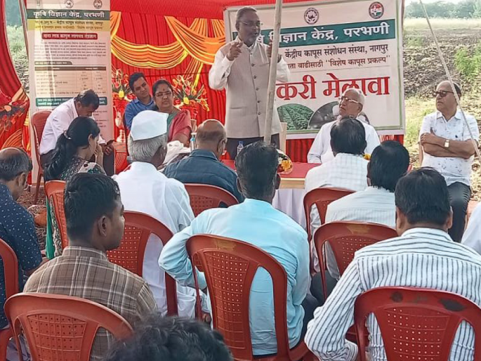 Field day in cotton crop celebrated by Krishi Vigyan Kendra, Parbhani | कृषि विज्ञान केंद्र, परभणी तर्फे कापूस पिकातील प्रक्षेत्र दिन साजरा Field day in cotton crop celebrated by Krishi Vigyan Kendra, Parbhani | कृषि विज्ञान केंद्र, परभणी तर्फे कापूस पिकातील प्रक्षेत्र दिन साजरा