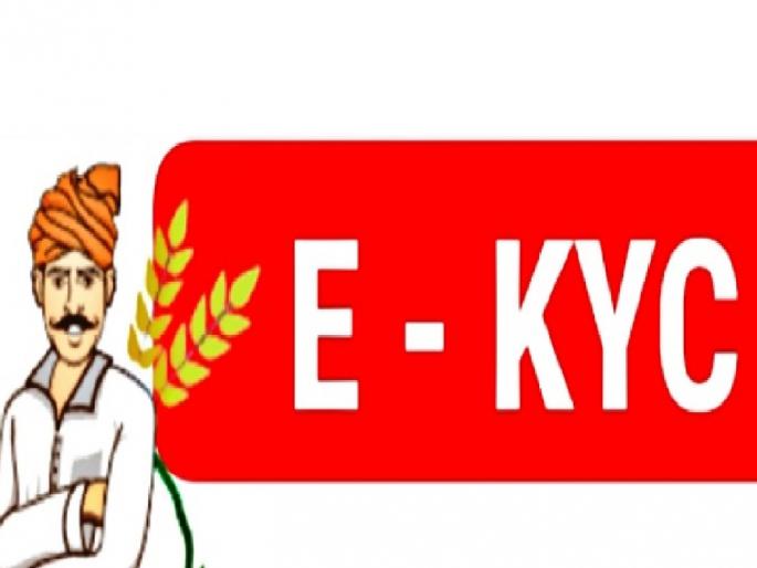 E-KYC of 9733 farmers pending in Sangli district | सांगली जिल्ह्यात ९७३३ शेतकऱ्यांचे ‘ई-केवायसी’ प्रलंबित E-KYC of 9733 farmers pending in Sangli district | सांगली जिल्ह्यात ९७३३ शेतकऱ्यांचे ‘ई-केवायसी’ प्रलंबित