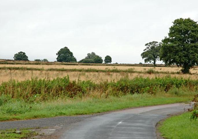 Three crore funding for Farmlands roads | पांदण रस्त्यांसाठी तीन कोटींचा निधी