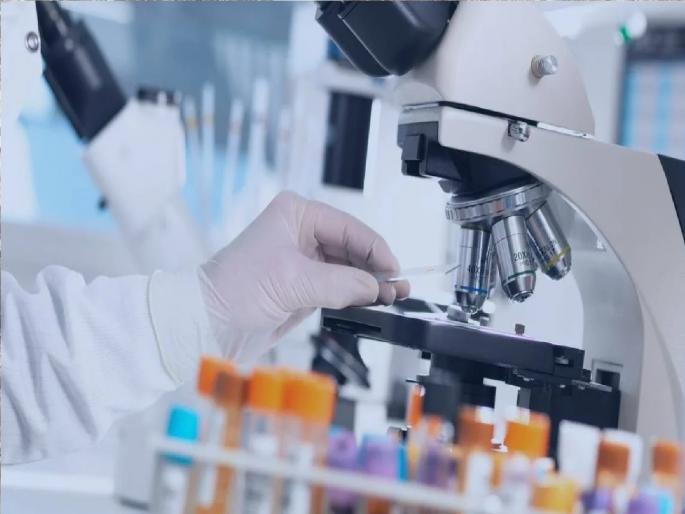 Playing with patients lives, more than 80 pathology labs in Sangli district are bogus | धक्कादायक! रुग्णांच्या जिवाशी खेळ, सांगली जिल्ह्यातील ८० हून अधिक पॅथॉलॉजी लॅब बोगस Playing with patients lives, more than 80 pathology labs in Sangli district are bogus | धक्कादायक! रुग्णांच्या जिवाशी खेळ, सांगली जिल्ह्यातील ८० हून अधिक पॅथॉलॉजी लॅब बोगस
