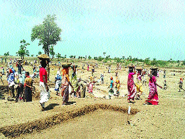 Contract wires are always waiting for the job | कंत्राटी वनमजूर कायम नोकरीच्या प्रतीक्षेत Contract wires are always waiting for the job | कंत्राटी वनमजूर कायम नोकरीच्या प्रतीक्षेत