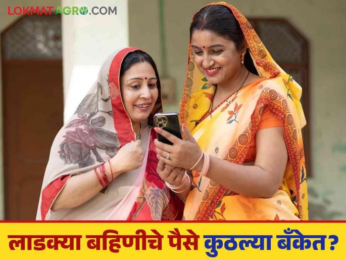 Ladki Bahin Yojana application approved but money not deposited? Check online like this | लाडकी बहिण योजनेचा अर्ज मंजूर पण पैसे जमा झाले नाहीत? असे करा ऑनलाईन चेक