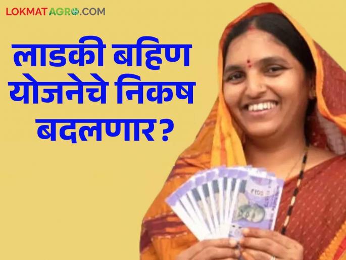 Ladki Bahin Yojana 2024 : Will beloved sisters get 1500 or 2100? Fears have increased | Ladki Bahin Yojana 2024 : लाडक्या बहिणींना १५०० मिळणार की २१००? Ladki Bahin Yojana 2024 : Will beloved sisters get 1500 or 2100? Fears have increased | Ladki Bahin Yojana 2024 : लाडक्या बहिणींना १५०० मिळणार की २१००?