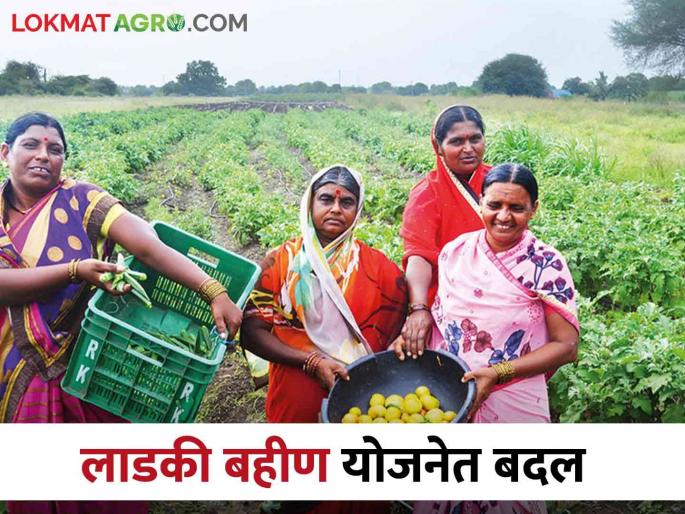 Ladli Behna Yojana: These major changes were made by Chief Minister Majhi Ladki Bahin Yojana to benefit more women | Ladli Behna Yojana मुख्यमंत्री माझी लाडकी बहीण योजनेचा लाभ अधिकाधिक महिलांना मिळण्यासाठी केले हे मोठे बदल