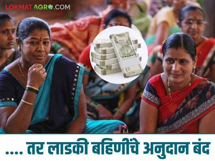 Latest News Ladaki Bahin Yojana 'those' ladki bahin will not get Rs. 1500 rupees, know the details | Ladaki Bahin Yojana : ....तर 'त्या' लाडक्या बहिणींना 1500 रुपये मिळणार नाही, जाणून घ्या सविस्तर  Latest News Ladaki Bahin Yojana 'those' ladki bahin will not get Rs. 1500 rupees, know the details | Ladaki Bahin Yojana : ....तर 'त्या' लाडक्या बहिणींना 1500 रुपये मिळणार नाही, जाणून घ्या सविस्तर
