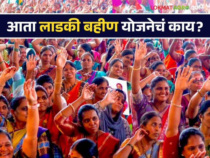 Latest News ladki bahin yojana payment installment schedule december after maharashtra vidhan sabha results 2024 see details | Ladki Bahin Yojana : लाडक्या बहिणांना पुढचा हफ्ता कधी मिळणार? जाणून घ्या सविस्तर Latest News ladki bahin yojana payment installment schedule december after maharashtra vidhan sabha results 2024 see details | Ladki Bahin Yojana : लाडक्या बहिणांना पुढचा हफ्ता कधी मिळणार? जाणून घ्या सविस्तर