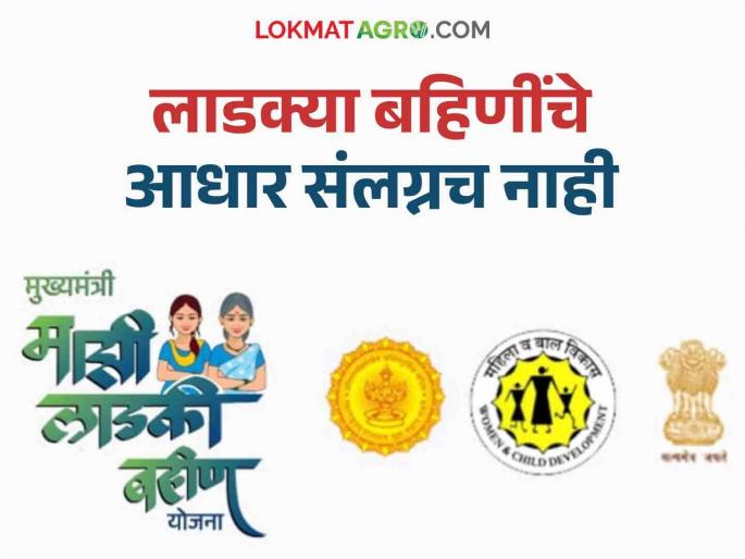 Ladki Bahin Yojana : Applications of Ladki Bahin Yojana approved in the state | Ladki Bahin Yojana : राज्यातील कोटींच्यावर लाडक्या बहिणींचे अर्ज मंजूर; लाखो बहिणींचे आधार संलग्नला लागतोय वेळ  
