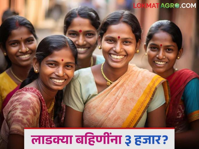 Ladki Bahin Yojana : Possibility of getting 3 thousand in next installment for dear sisters; Read in detail | Ladki Bahin Yojana : लाडक्या बहिणींना येणाऱ्या हप्त्यात ३ हजार मिळण्याची शक्यता; वाचा सविस्तर