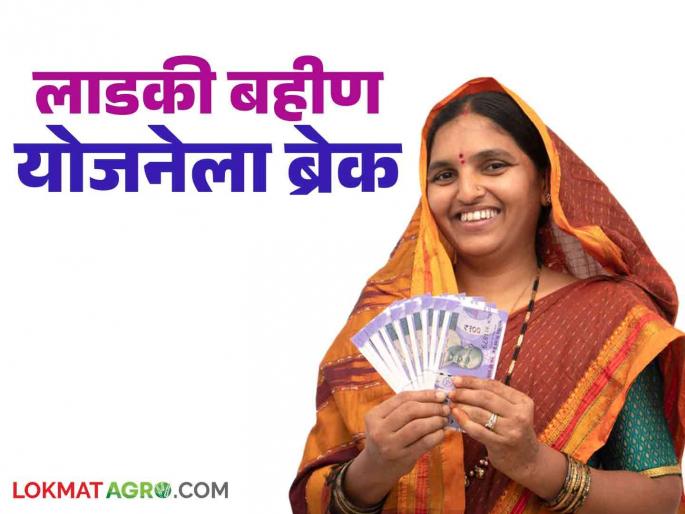 ladki bahin yojana: Code of Conduct Break to Accept New Applications of Ladaki Bahin Yojana | Ladaki Bahin Yojana : लाडकी बहीण योजनेचे नवीन अर्ज स्वीकारण्यास आचारसंहितेचा ब्रेक ; पुढील कारवाई 'या' तारखेनंतर ladki bahin yojana: Code of Conduct Break to Accept New Applications of Ladaki Bahin Yojana | Ladaki Bahin Yojana : लाडकी बहीण योजनेचे नवीन अर्ज स्वीकारण्यास आचारसंहितेचा ब्रेक ; पुढील कारवाई 'या' तारखेनंतर