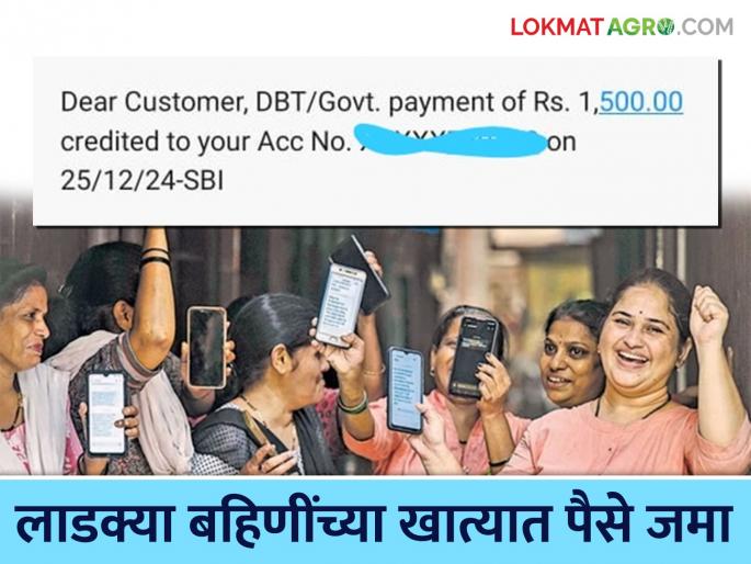 Ladki Bahin Yojana New Update: Sankranti of 'Ladki Bahin' in the state has become sweet; December installment deposited in the account | Ladki Bahin Yojana New Update : राज्यातील 'लाडक्या बहिणीं'ची संक्रांत झाली गोड; खात्यात डिसेंबरचा हप्ता जमा Ladki Bahin Yojana New Update: Sankranti of 'Ladki Bahin' in the state has become sweet; December installment deposited in the account | Ladki Bahin Yojana New Update : राज्यातील 'लाडक्या बहिणीं'ची संक्रांत झाली गोड; खात्यात डिसेंबरचा हप्ता जमा