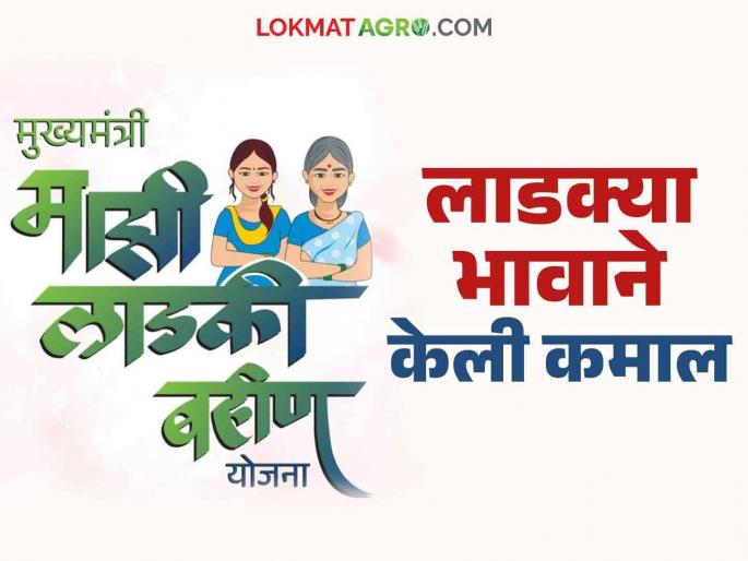 Ladki Bahin Yojana : why brother return of the Ladki Bahin scheme money, read the case in detail | Ladki Bahin Yojana : लाडक्या भावाने केले योजनेचे पैसे परत काय आहे प्रकरण वाचा सविस्तर Ladki Bahin Yojana : why brother return of the Ladki Bahin scheme money, read the case in detail | Ladki Bahin Yojana : लाडक्या भावाने केले योजनेचे पैसे परत काय आहे प्रकरण वाचा सविस्तर