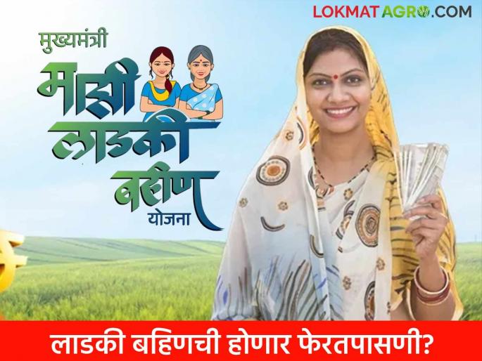 ladki bahin fasavnuk Action: Beware ! Government will re-examine the ladki bahin scheme; What will be the results read in detail | ladki bahin fasavnuk Action: सावधान ! सरकार लाडकी बहीण योजनेची करणार फेरतपासणी ; काय होतील परिणाम वाचा सविस्तर ladki bahin fasavnuk Action: Beware ! Government will re-examine the ladki bahin scheme; What will be the results read in detail | ladki bahin fasavnuk Action: सावधान ! सरकार लाडकी बहीण योजनेची करणार फेरतपासणी ; काय होतील परिणाम वाचा सविस्तर