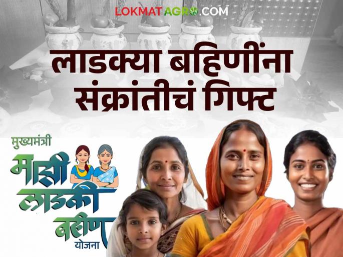 Ladki Bahin Yojana New Update : women get money in the month of january | Ladki Bahin Yojana New Update : लाडक्या बहिणींसाठी आनंदाची बातमी; संक्रांत होणार दणक्यात साजरी वाचा सविस्तर