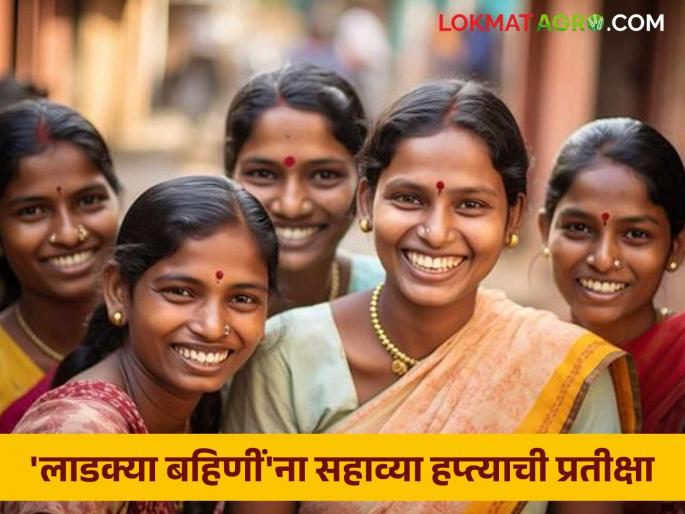Ladki Bahin Yojana : Will there be a provision in the Nagpur winter session to provide the sixth installment to 'Ladki Bahin Yojana'? | Ladki Bahin Yojana : 'लाडक्या बहिणीं'ना सहावा हप्ता देण्यासाठी नागपूरच्या हिवाळी अधिवेशनात होईल का तरतूद? Ladki Bahin Yojana : Will there be a provision in the Nagpur winter session to provide the sixth installment to 'Ladki Bahin Yojana'? | Ladki Bahin Yojana : 'लाडक्या बहिणीं'ना सहावा हप्ता देण्यासाठी नागपूरच्या हिवाळी अधिवेशनात होईल का तरतूद?