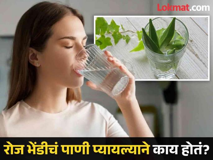 Okra water is prevent many diseases, know its benefits and how to consume it! | अनेक आजारांवर रामबाण उपाय ठरतं भेंडीचं पाणी, जाणून घ्या कसं कराल सेवन! Okra water is prevent many diseases, know its benefits and how to consume it! | अनेक आजारांवर रामबाण उपाय ठरतं भेंडीचं पाणी, जाणून घ्या कसं कराल सेवन!