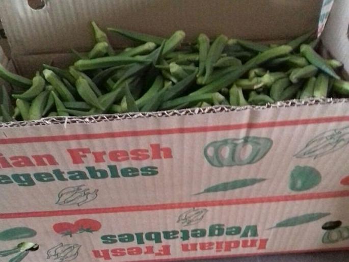 Amravati agriculture product will be exported to bahrain | अमरावतीची भेंडी होणार आखाती देशात निर्यात Amravati agriculture product will be exported to bahrain | अमरावतीची भेंडी होणार आखाती देशात निर्यात