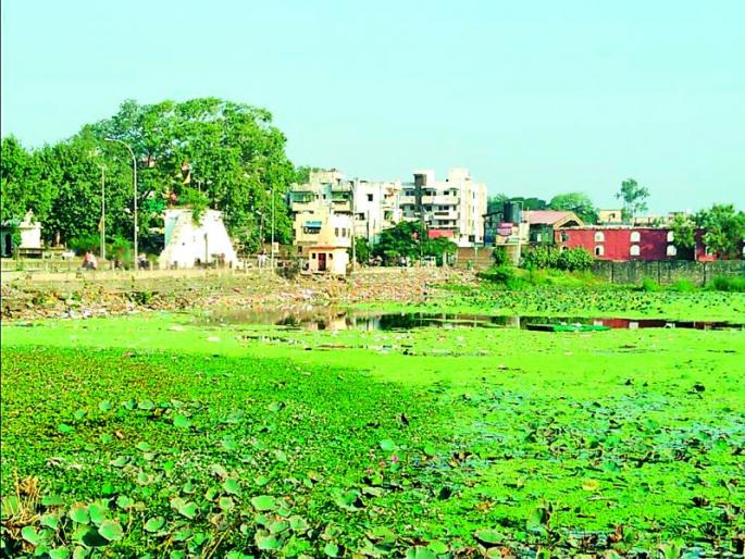 125 crore proposal where? The water in the Sakkadhara lake is green | १२५ कोटींचा प्रस्ताव गेला कुठे? सक्करदरा तलावातील पाण्याला हिरवा रंग