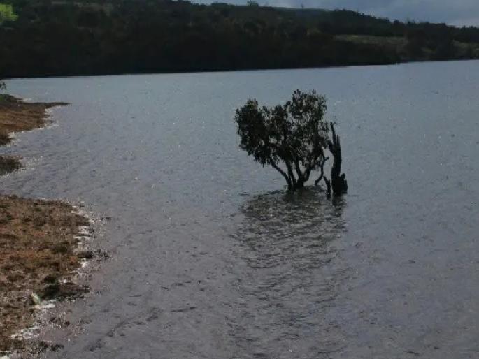 Lovers end their lives by jumping into lake in satara, search for bodies begins | Satara: प्रेमीयुगुलाने तलावात उडी घेऊन संपवले जीवन, मृतदेहांचा शोध सुरू Lovers end their lives by jumping into lake in satara, search for bodies begins | Satara: प्रेमीयुगुलाने तलावात उडी घेऊन संपवले जीवन, मृतदेहांचा शोध सुरू