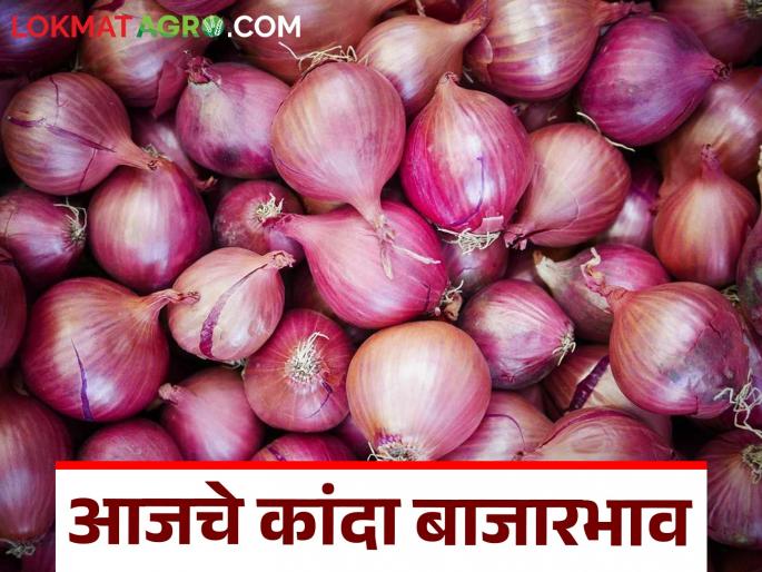 Latest News Kanda Market Update Red onion prices fall again in Lasalgaon kanda market see details | Kanda Market Update : लासलगाव बाजारात लाल कांदा दरात पुन्हा घसरण, वाचा आजचे बाजारभाव Latest News Kanda Market Update Red onion prices fall again in Lasalgaon kanda market see details | Kanda Market Update : लासलगाव बाजारात लाल कांदा दरात पुन्हा घसरण, वाचा आजचे बाजारभाव