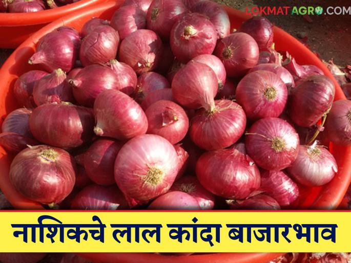 Latest News kanda bajarbhav Market price of red onion in Lasalgaon market, know in detail | Lasalgaon Kanda Market : लासलगाव बाजारातील लाल कांद्याचे बाजारभाव, जाणून घ्या सविस्तर  Latest News kanda bajarbhav Market price of red onion in Lasalgaon market, know in detail | Lasalgaon Kanda Market : लासलगाव बाजारातील लाल कांद्याचे बाजारभाव, जाणून घ्या सविस्तर