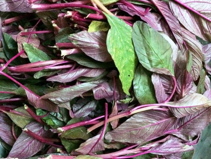 Stomach upset problem in rainy season, indigestion? So what to eat and what to avoid? in monsoon | पावसाळ्यात सारखे पोट बिघडते, अपचन होते ? मग काय खायचं आणि काय टाळायचं?