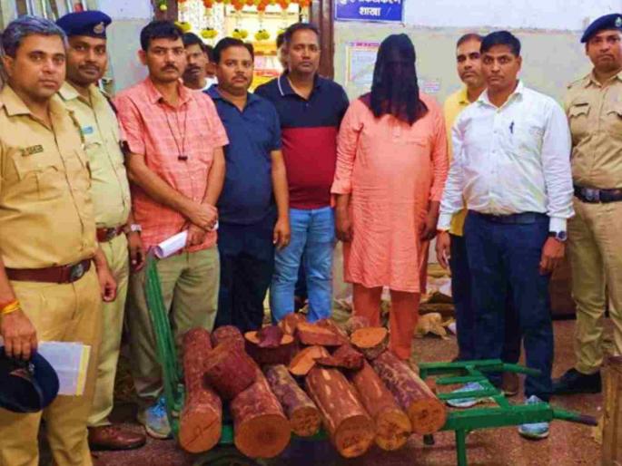 Mumbai railway police arrested one man who smuggling of red sandalwood through train 97 kg sandalwood seized | मुंबईत 'पुष्पा'ला अटक! लाल चंदनाची चक्क रेल्वेतून फिल्मीस्टाइल तस्करी, ९७ किलो चंदन जप्त Mumbai railway police arrested one man who smuggling of red sandalwood through train 97 kg sandalwood seized | मुंबईत 'पुष्पा'ला अटक! लाल चंदनाची चक्क रेल्वेतून फिल्मीस्टाइल तस्करी, ९७ किलो चंदन जप्त