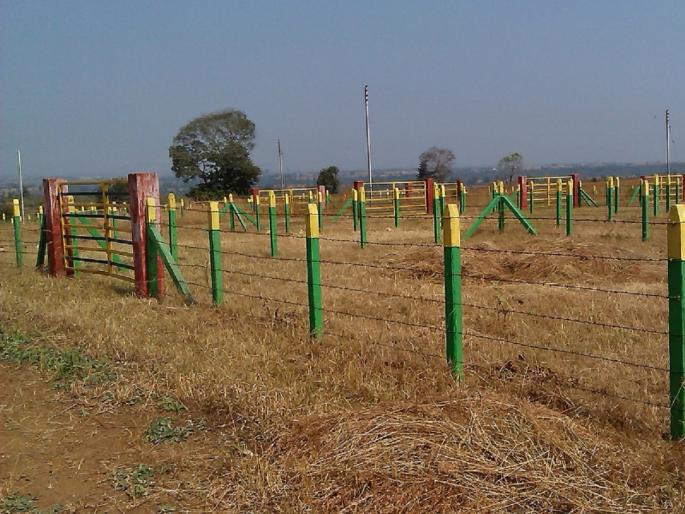 Don't despair! Curb lender coercion; Grabbed Farm Gets Back by law! | हताश होऊ नका, सावकाराच्या जबरदस्तीला लगाम; बळकावलेली शेती मिळते परत ! Don't despair! Curb lender coercion; Grabbed Farm Gets Back by law! | हताश होऊ नका, सावकाराच्या जबरदस्तीला लगाम; बळकावलेली शेती मिळते परत !