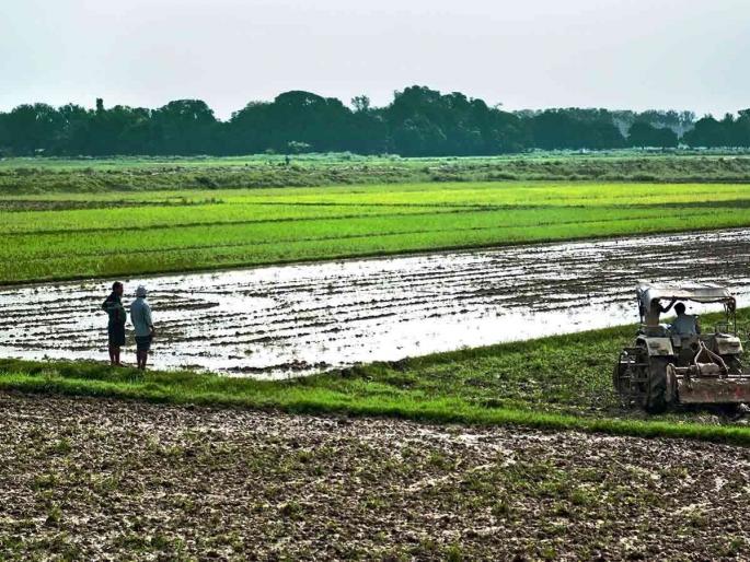 Latest News Repeal the Maximum Agricultural Land Retention Act, demand of Kisanputra movement | कमाल शेतजमीन धारणा कायदा रद्द करा, किसानपुत्र आंदोलनाची मागणी  Latest News Repeal the Maximum Agricultural Land Retention Act, demand of Kisanputra movement | कमाल शेतजमीन धारणा कायदा रद्द करा, किसानपुत्र आंदोलनाची मागणी