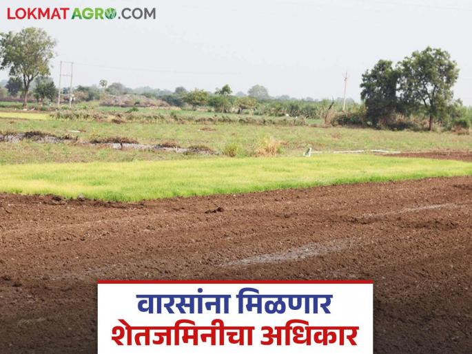 Jivant Sat-Bara: latest news Farmers will become land owners through 'Jivant Sat-Bara' campaign; Know the details | Jivant Sat-Bara : 'जिवंत सात-बारा मोहीमे'तून शेतकरी होणार जमिनीचे मालक; जाणून घ्या सविस्तर Jivant Sat-Bara: latest news Farmers will become land owners through 'Jivant Sat-Bara' campaign; Know the details | Jivant Sat-Bara : 'जिवंत सात-बारा मोहीमे'तून शेतकरी होणार जमिनीचे मालक; जाणून घ्या सविस्तर