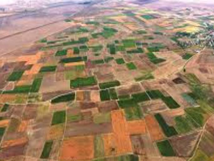 The Mahayuti government has suspended a 78-year-old law prohibiting land fragmentation in Maharashtra | गोष्ट मोठी, ‘तुकड्या’एवढी..एकूणच महसूल खाते कात टाकत असल्याचे चित्र The Mahayuti government has suspended a 78-year-old law prohibiting land fragmentation in Maharashtra | गोष्ट मोठी, ‘तुकड्या’एवढी..एकूणच महसूल खाते कात टाकत असल्याचे चित्र